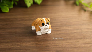 Baby Bulldog