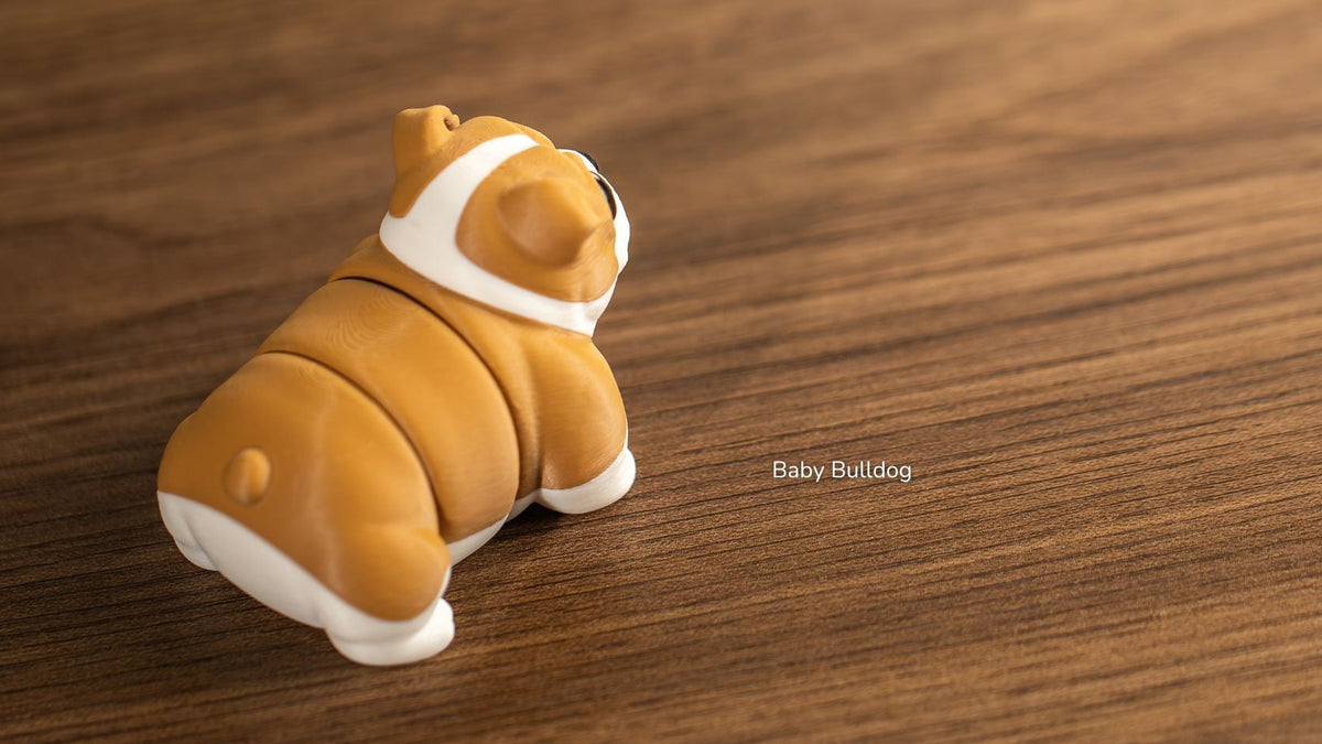 Baby Bulldog lying down, back view