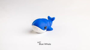 Piccolo di balenottera azzurra