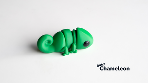Camaleonte neonato