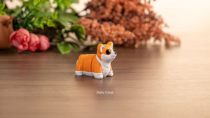 Baby Corgi