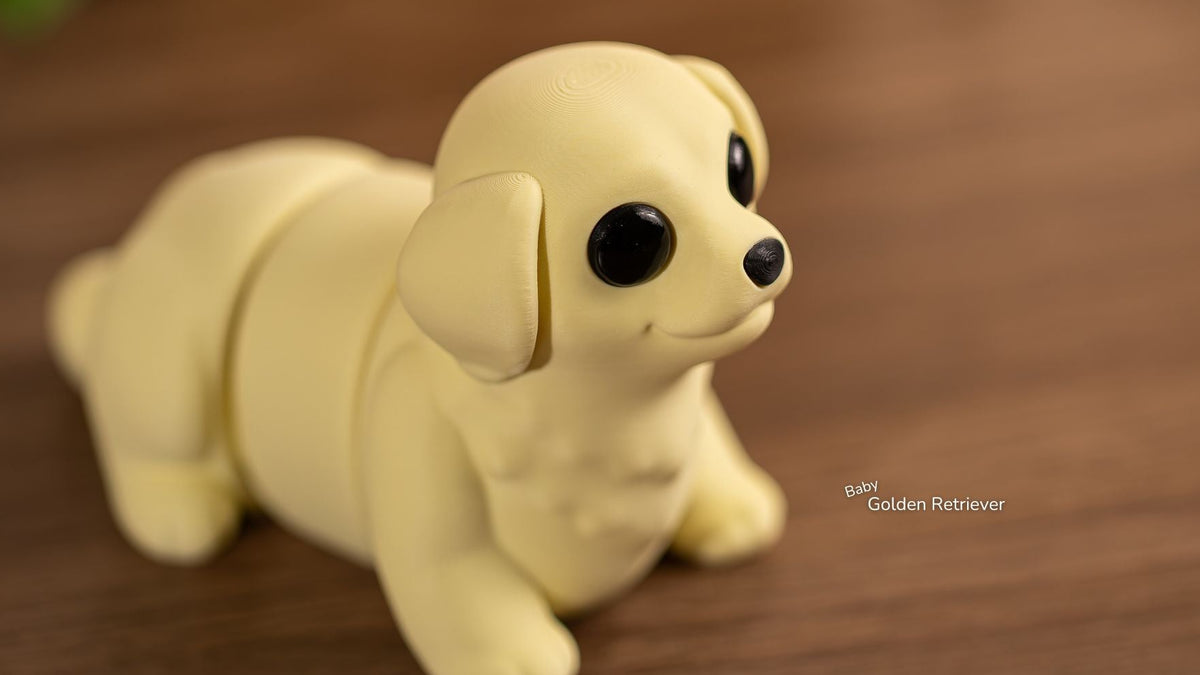 Baby Golden Retriever, close up