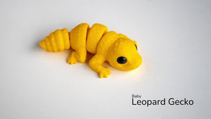 Baby-Leopardgecko