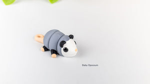 Opossum neonato
