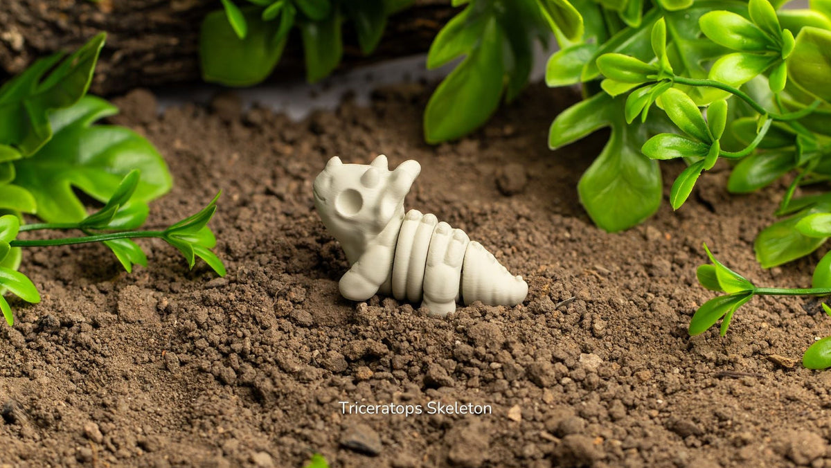 Baby Triceratops Skeleton among soil and plants