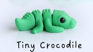 Piccolo coccodrillo