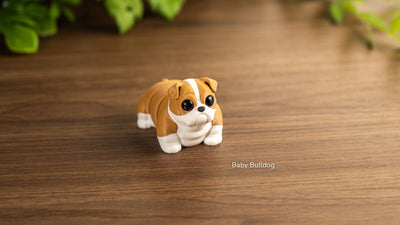 Baby Bulldog