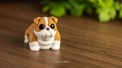 Baby Bulldog with big eyes, front view