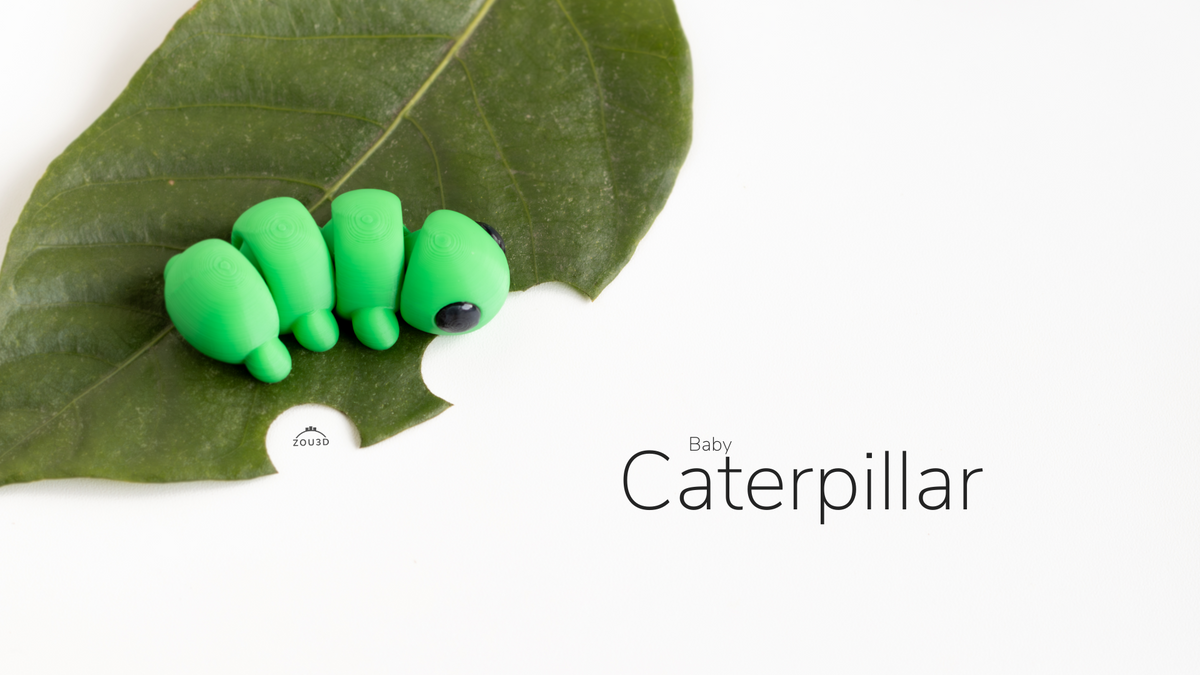 Green Baby Caterpillar on a large leaf
