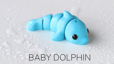 Baby Dolphin