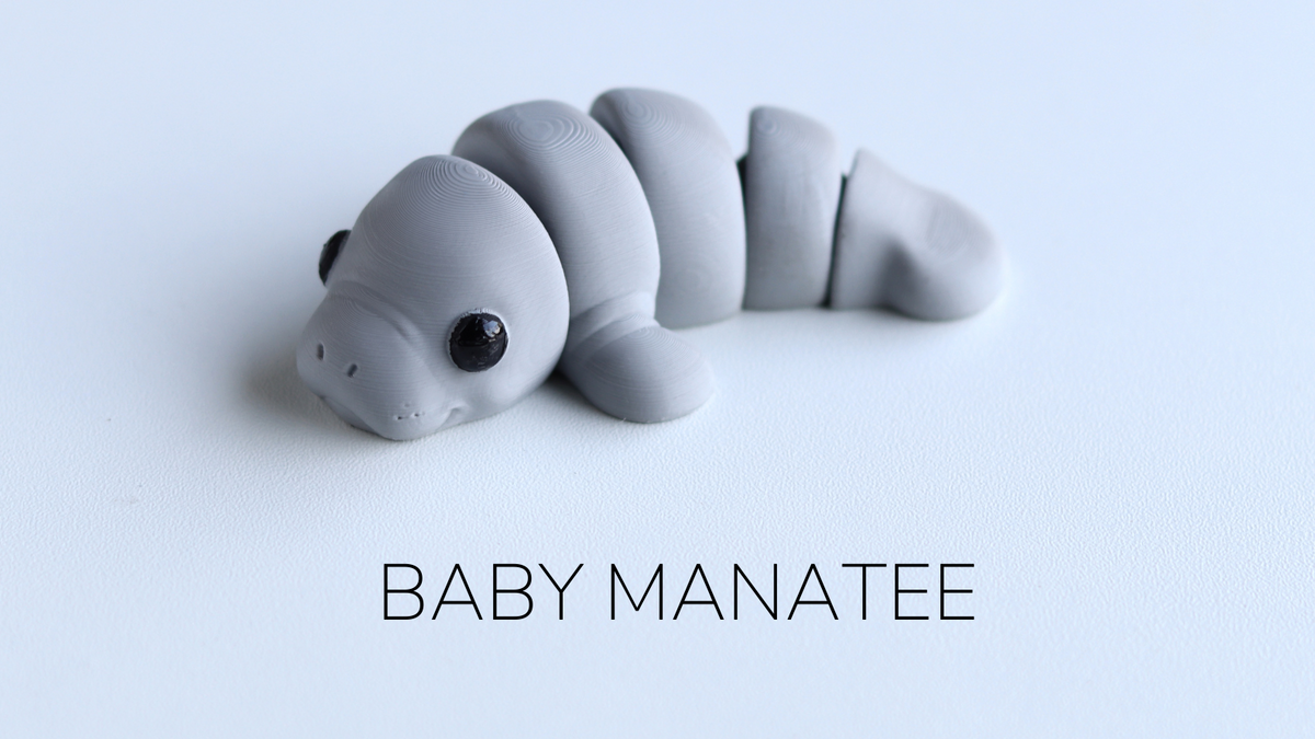 Model of a baby manatee on a light blue background with 'Baby Manatee' text.