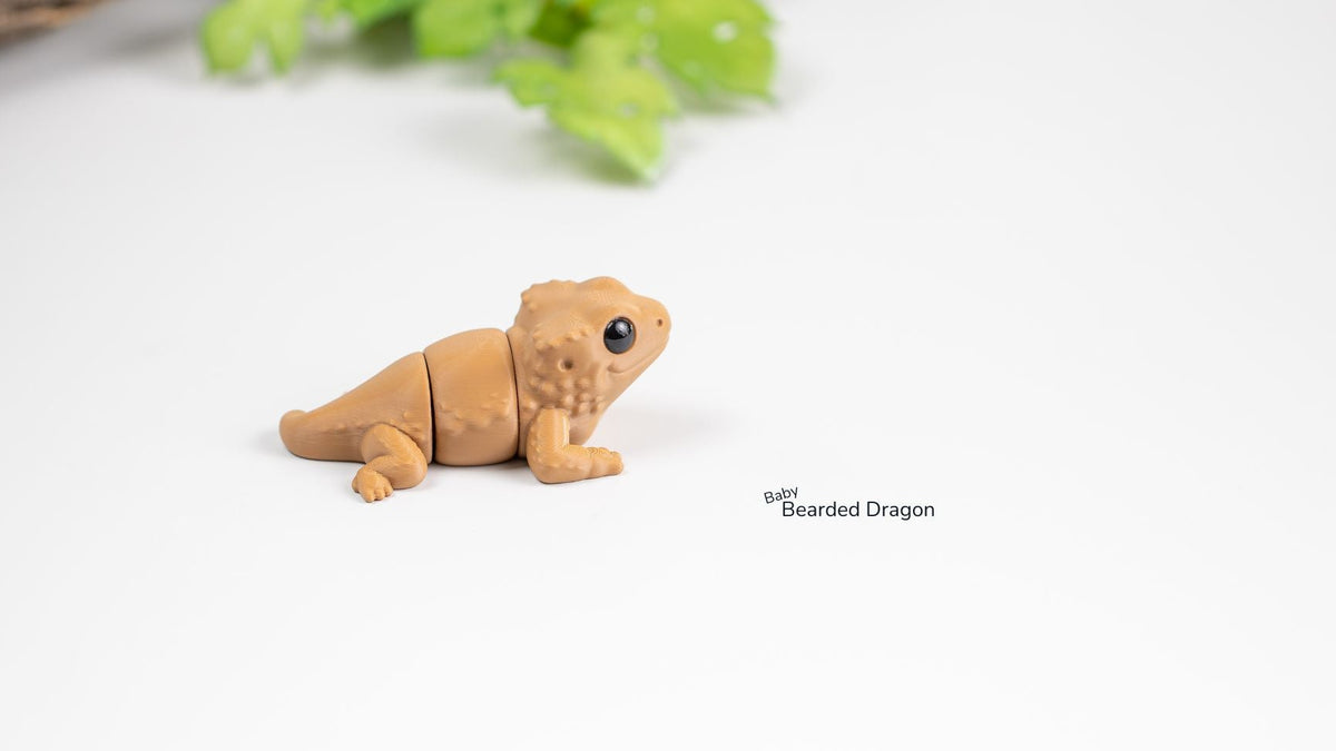 Tan Baby Bearded Dragon, side view