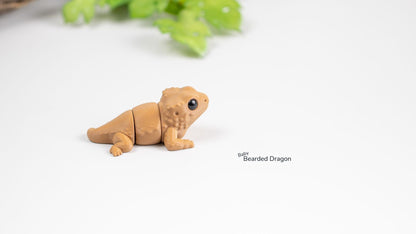 Tan Baby Bearded Dragon, side view