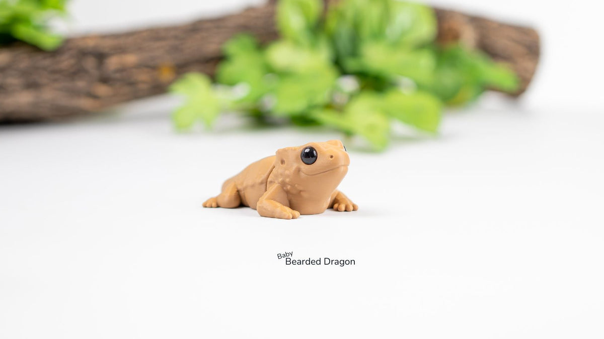 Baby Bearded Dragon with leaves and a branch behind