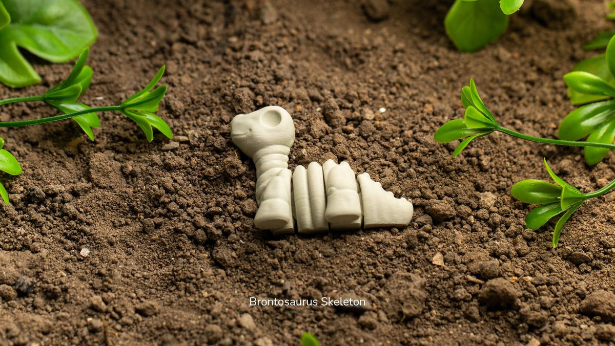 Cream Baby Brontosaurus Skeleton fidget toy in soil, like a fossil dig