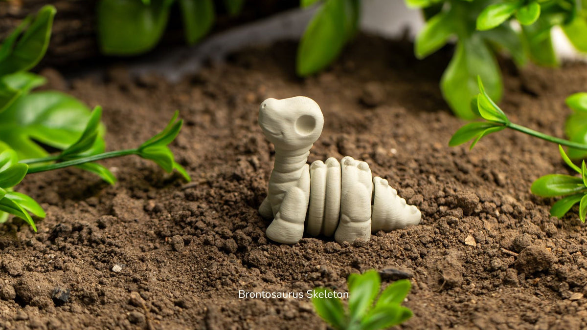 Baby Brontosaurus Skeleton lying in soil with plants