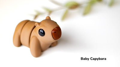 Baby Capybara