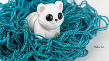 White Baby Cat sitting in teal yarn