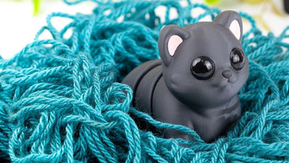 Black Baby Cat sitting in teal yarn