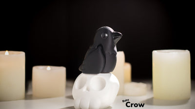 Baby Crow