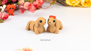 Coileán dachsund