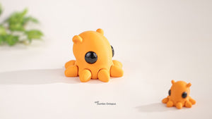 Dumbo octopus neonato