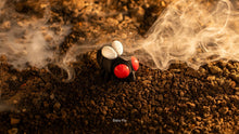 Black Baby Fly with red eyes on dark soil with mist