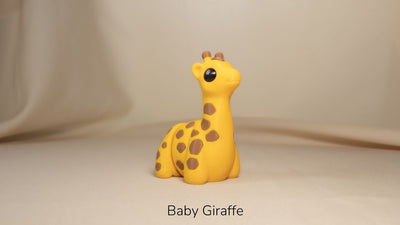 Baby Giraffe