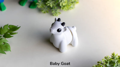 Baby Goat