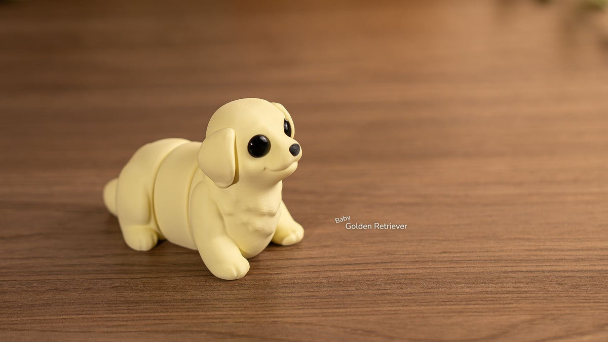 Cream Baby Golden Retriever sitting on a wooden table