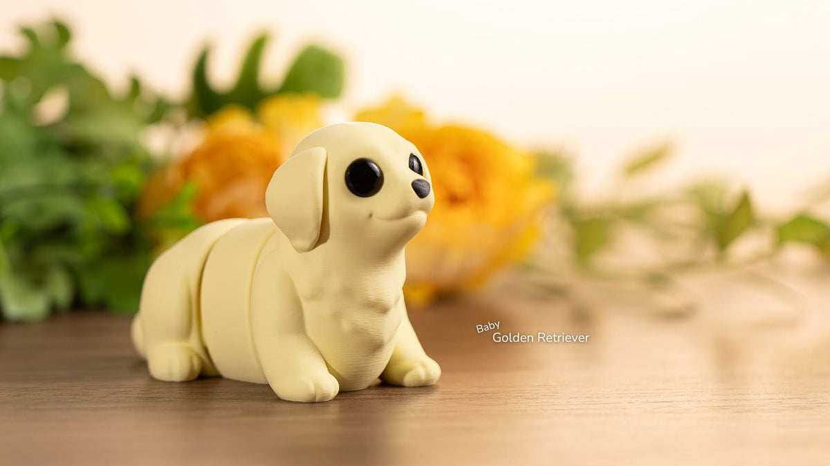 Cream Baby Golden Retriever among yellow flowers