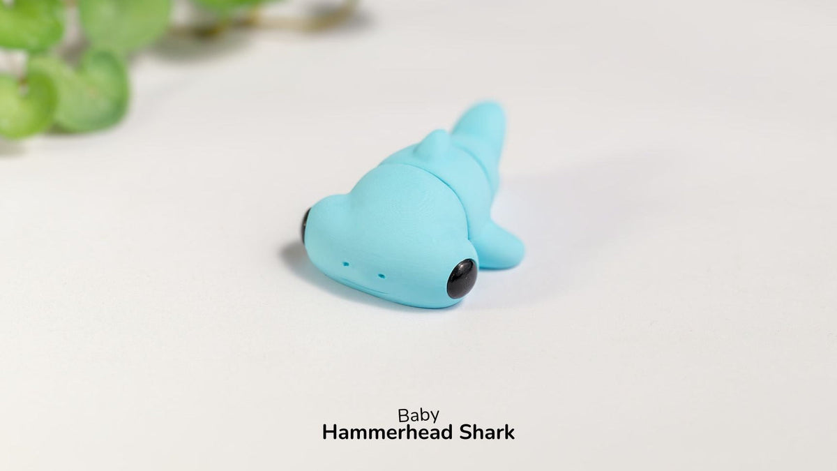Light blue Baby Hammerhead Shark fidget toy with leaves