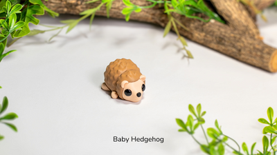Baby Hedgehog