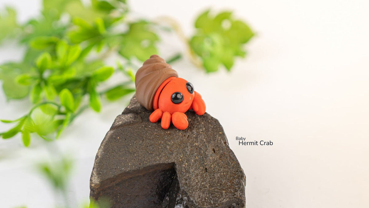 Baby Hermit Crab fidget toy, red crab in a brown shell, with leaves behind