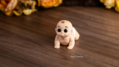 Baby Human