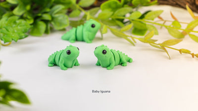 Baby Iguana