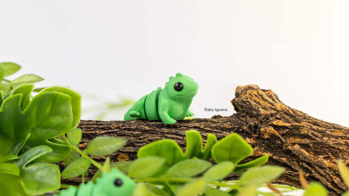 Green Baby Iguana climbing on a branch