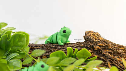 Green Baby Iguana climbing on a branch