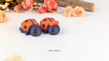 Two red and black Baby Ladybug fidget toys with flowers