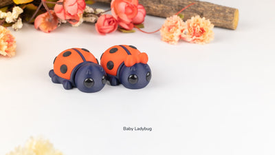 Baby Ladybug