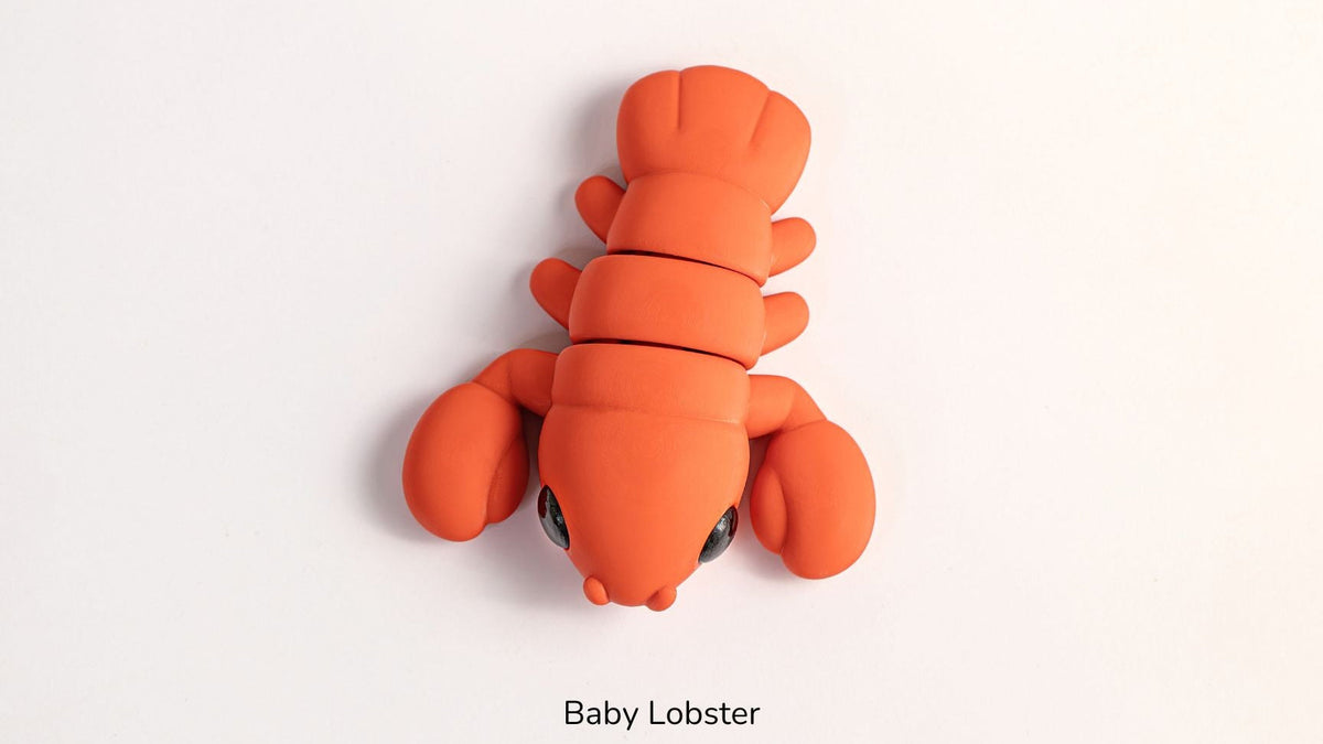 Orange Baby Lobster from above