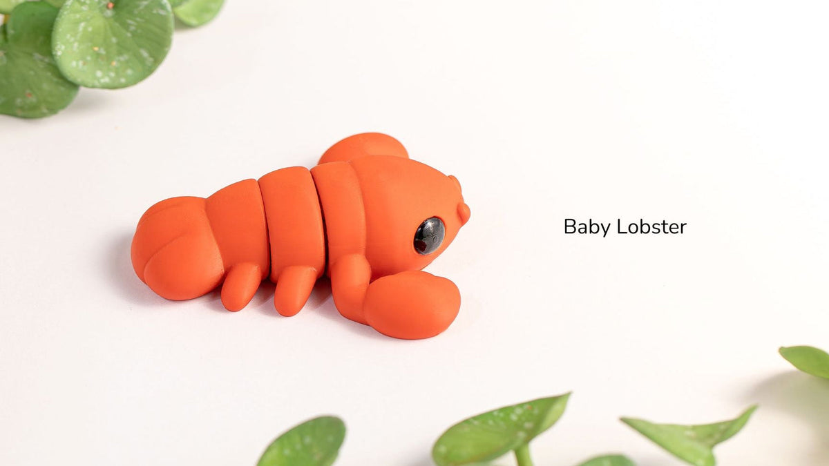 Baby Lobster with claws raised, side view