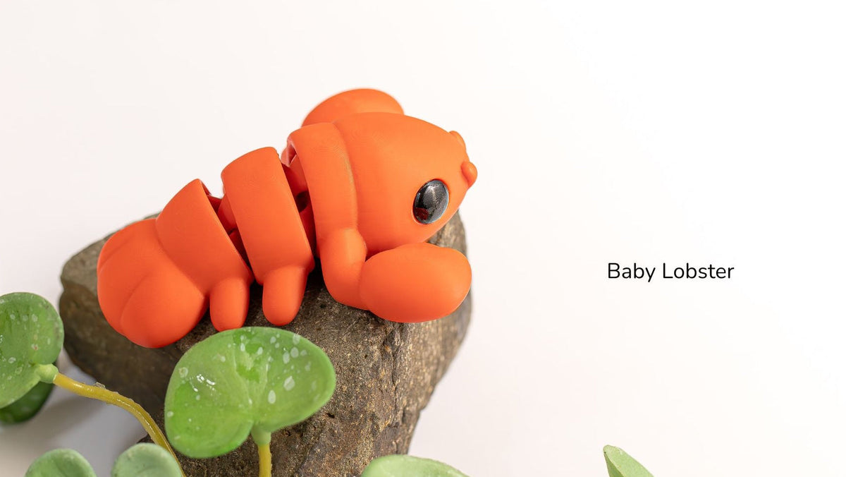 Orange Baby Lobster on a branch