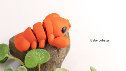 Orange Baby Lobster on a branch