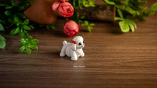 White Baby Poodle with a red bow among leaves