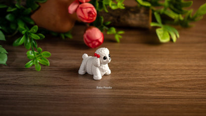 White Baby Poodle with a red bow among leaves
