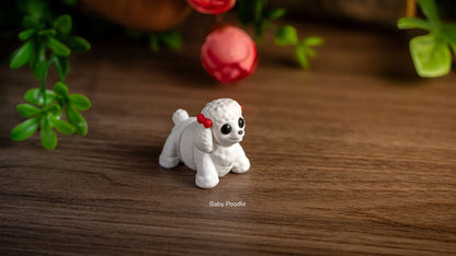 White Baby Poodle on a wooden table