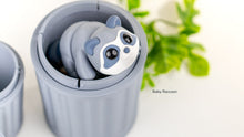 Grey Baby Raccoon peeking out of a Trash Can