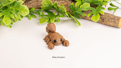 Baby Scorpion