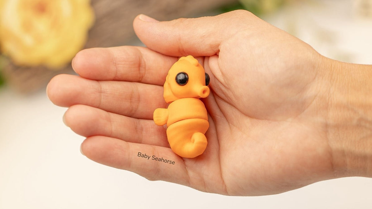 Orange Baby Seahorse lying in an open hand